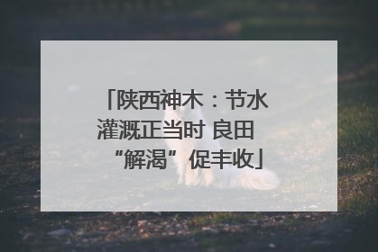 陕西神木：节水灌溉正当时 良田“解渴”促丰收